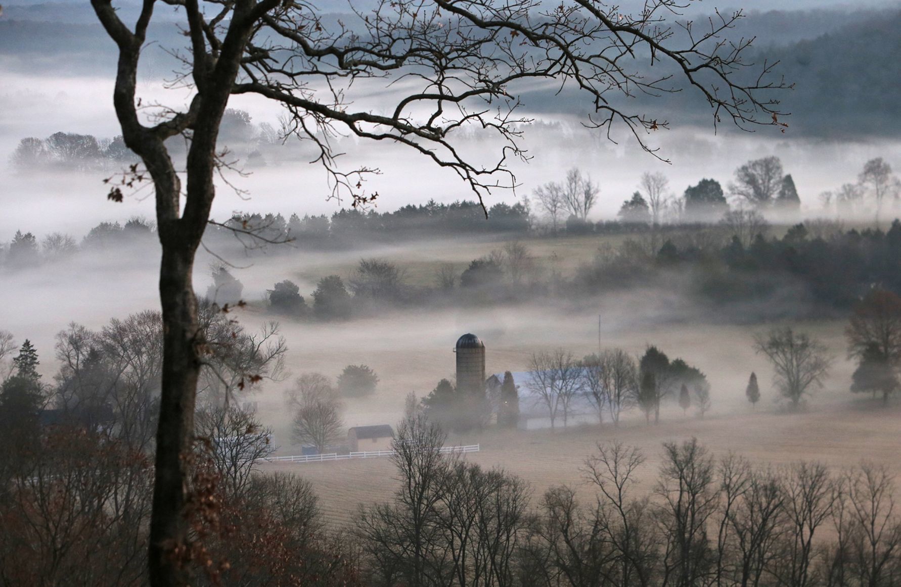 Thirty of JB Forbes' favorite photos from 2019